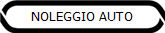 NOLEGGIO AUTO